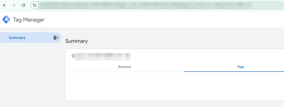 Tag-Assistant verbindet sich über die eigene Server-Domain statt über Google