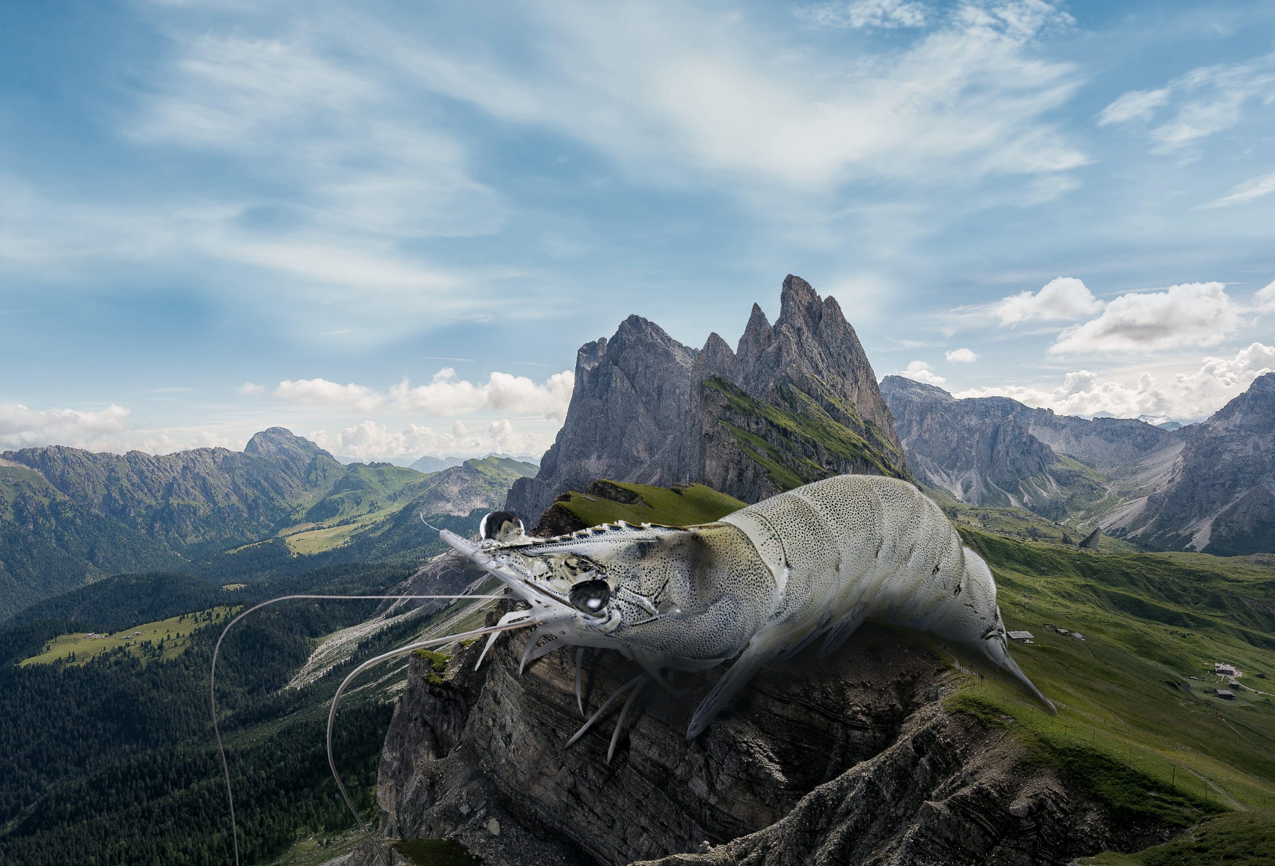 Preview – Alpenaquafarm Tirol