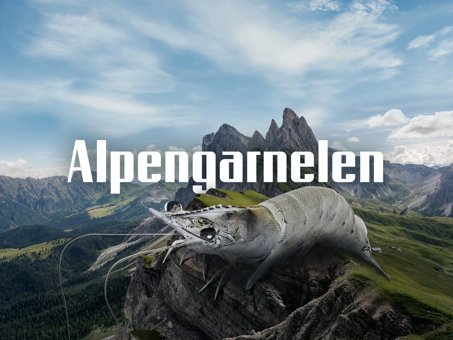 Alpenaquafarm Tirol – fresh Alpine shrimp from sustainable aquaculture